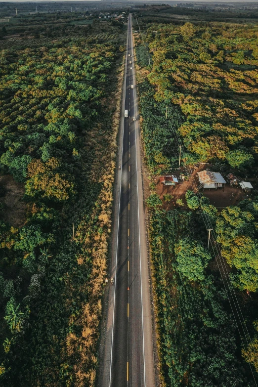 an aerial s of a road surrounded by trees