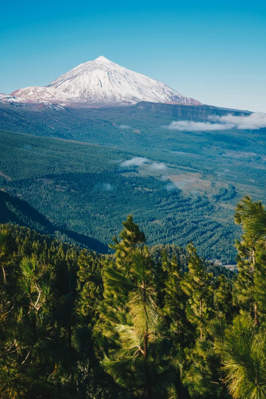 the view from top of the mountain, looking down at pine trees