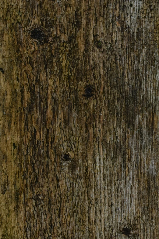 close up picture of a wood veneer