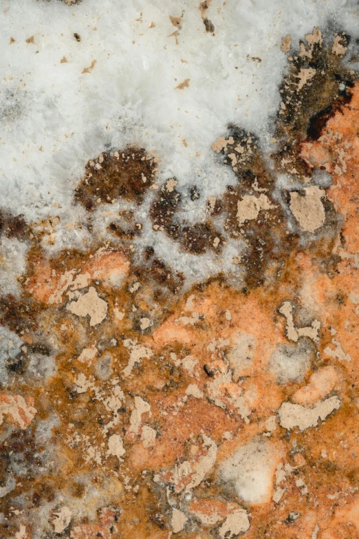 a close up of a rock with snow on it, a microscopic photo, by Peter Churcher, trending on unsplash, ancient ochre palette, high-angle, panel, copper