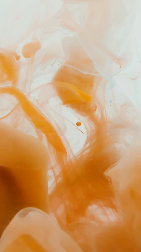 a close up of a plate of food on a table, an abstract drawing, pexels, lyrical abstraction, orange mist, made of liquid, oil on canvas 4k, abstract white fluid
