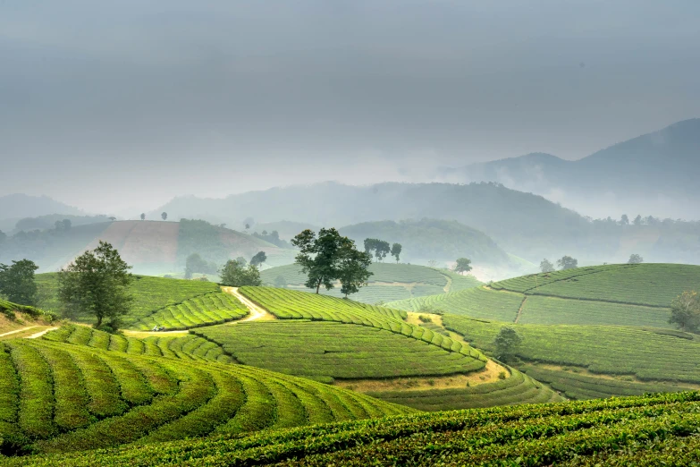 a lush green hillside covered in hills and a valley