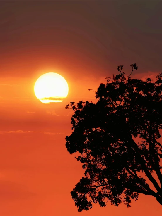 a sunset with some trees and a sky in the background