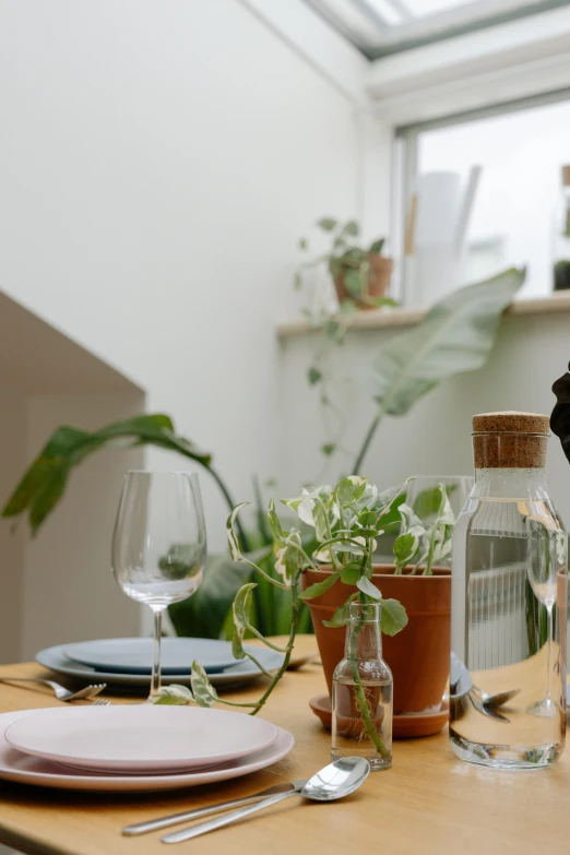 table set with place setting, place setting glassware, flower pots and vases