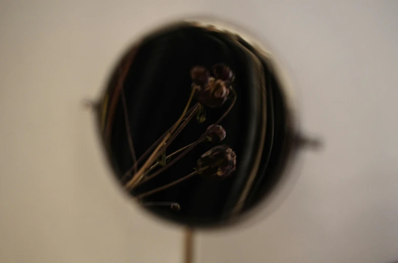 a close up of a vase with flowers in it, a macro photograph, by Emma Andijewska, conceptual art, inside mirror, thin wires, black, seeds