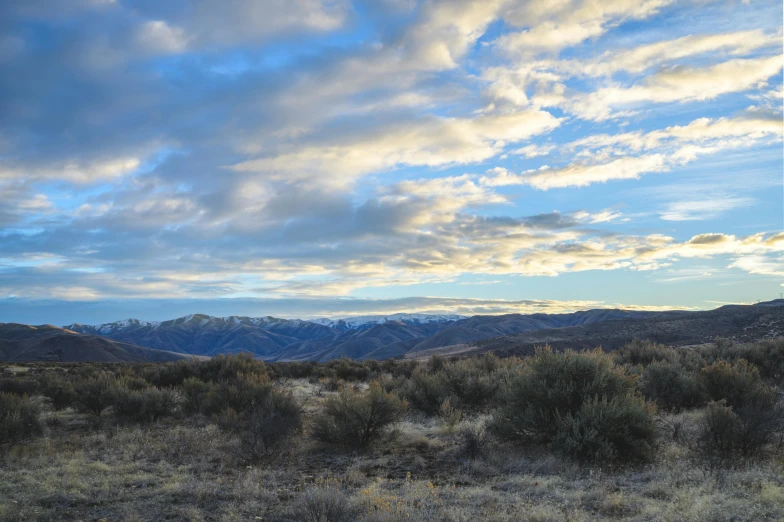 a fire hydrant in the middle of a field with mountains in the background, by Jessie Algie, unsplash, panorama view of the sky, idaho, altostratus clouds, distant mountains lights photo