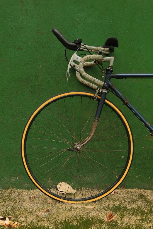 a bicycle leaning against a green wall, an album cover, by Sven Erixson, pexels contest winner, renaissance, jamaican colors, brass wheels, profile image, zoomed in