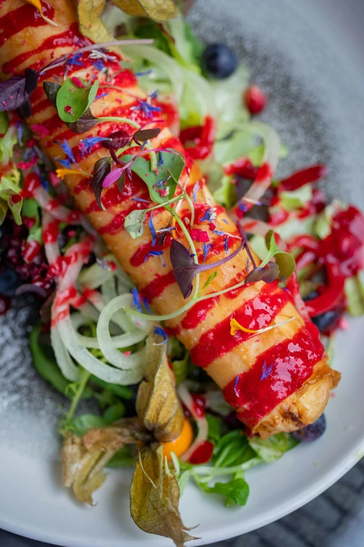 a close up of a plate of food on a table, full of colours, rocket, long torn red cape, spiralling