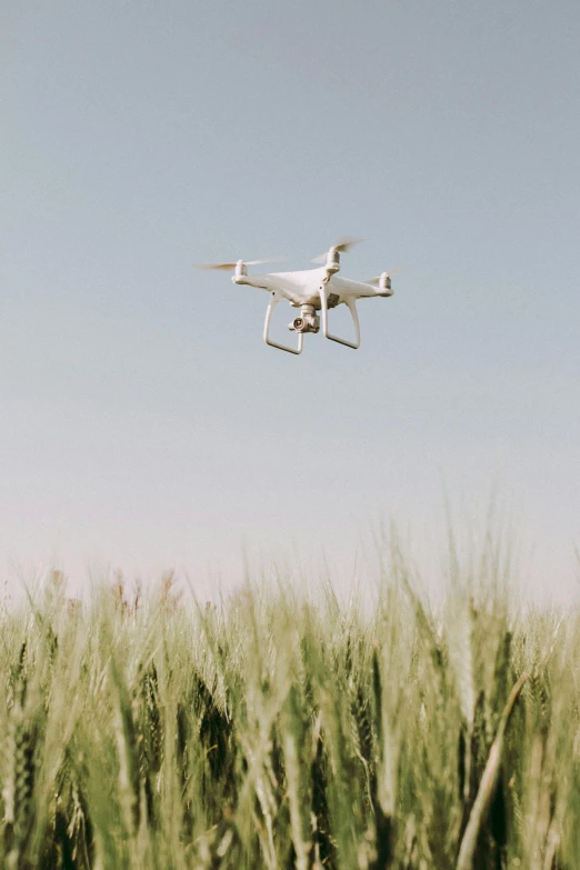 a white drone flying over a field of green grass, pexels, walking through a field of wheat, avatar image, electronics, instagram story