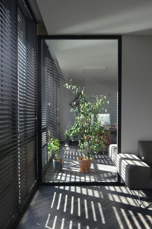 this living room has a black wood slats