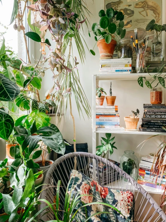 a living room filled with lots of potted plants, by Dulah Marie Evans, trending on unsplash, an overgrown library, lush garden spaceship, short bookshelf, studio photo