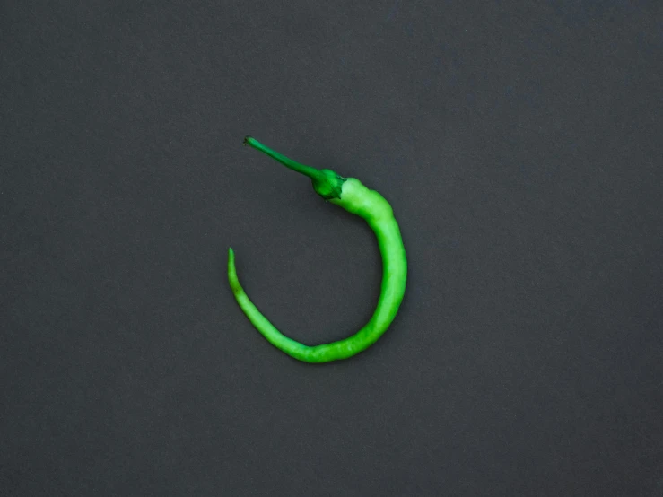 a green pepper on a black background, an album cover, inspired by Bruce Nauman, trending on pexels, hurufiyya, scorpion tail, hook as ring, on a gray background, cervix awakening