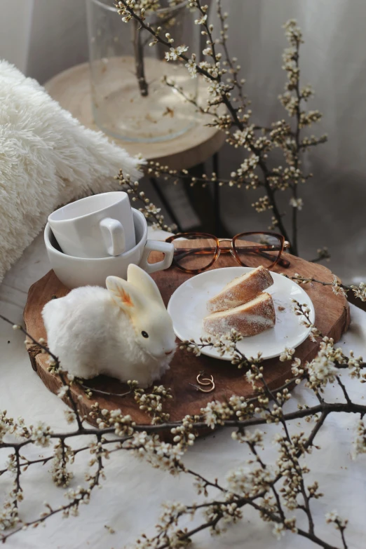 a close up of a plate of food on a table, by Lucia Peka, romanticism, fluffy white fur, easter, morning coffee, 8k))