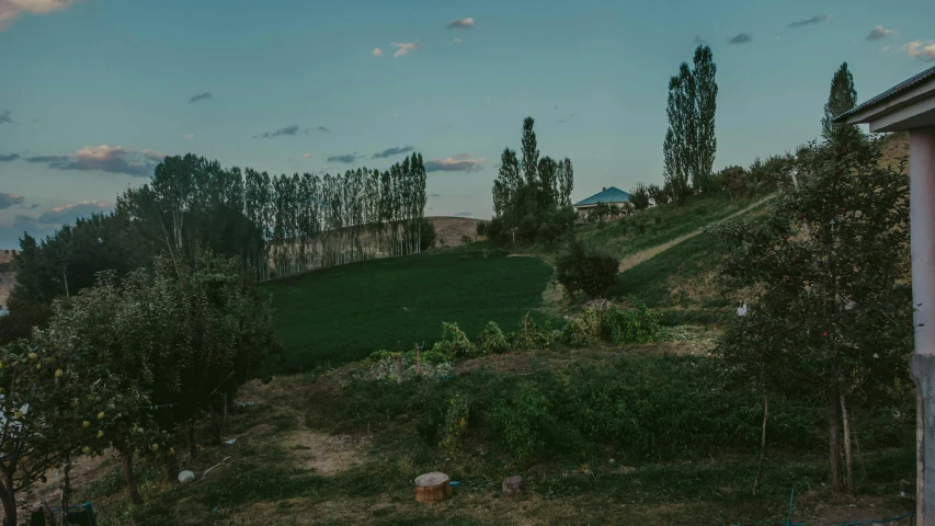 a large green hill on top of a hill with trees