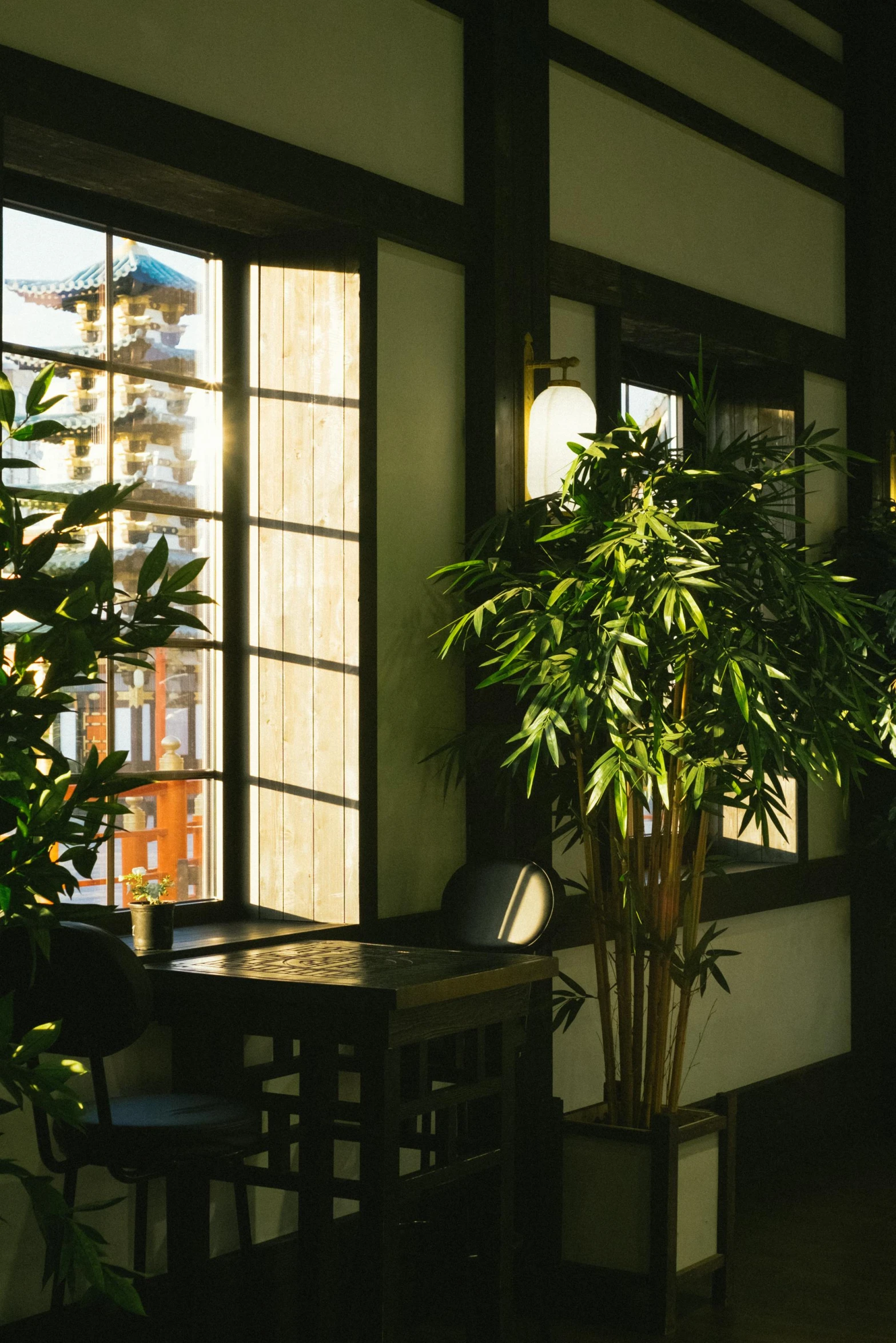 a room with a plant and two windows