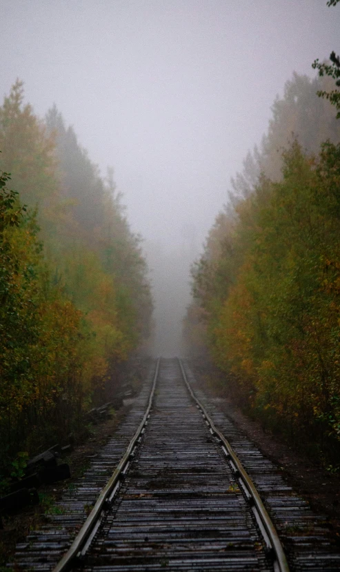 a train track surrounded by trees on a foggy day, by Jessie Algie, azamat khairov, beginning of autumn, ((mist)), ghost town