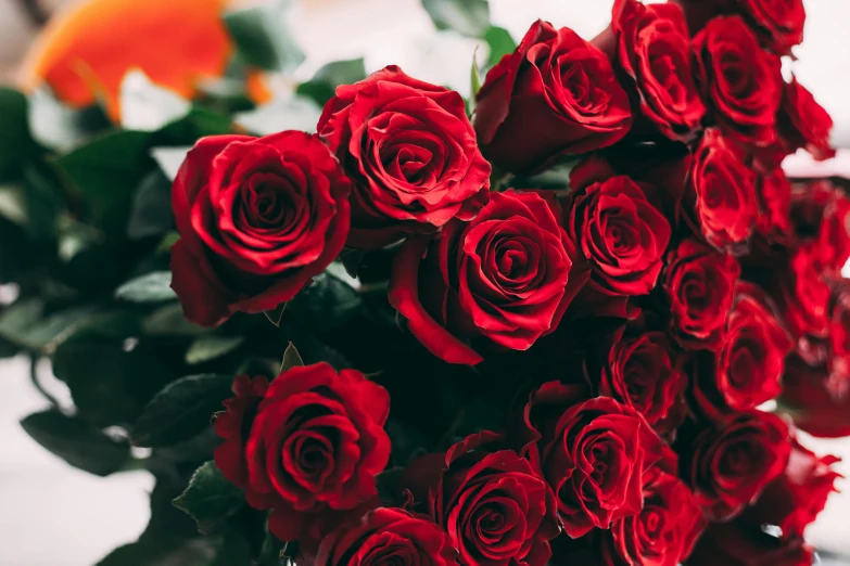 a close up view of a bouquet of red roses