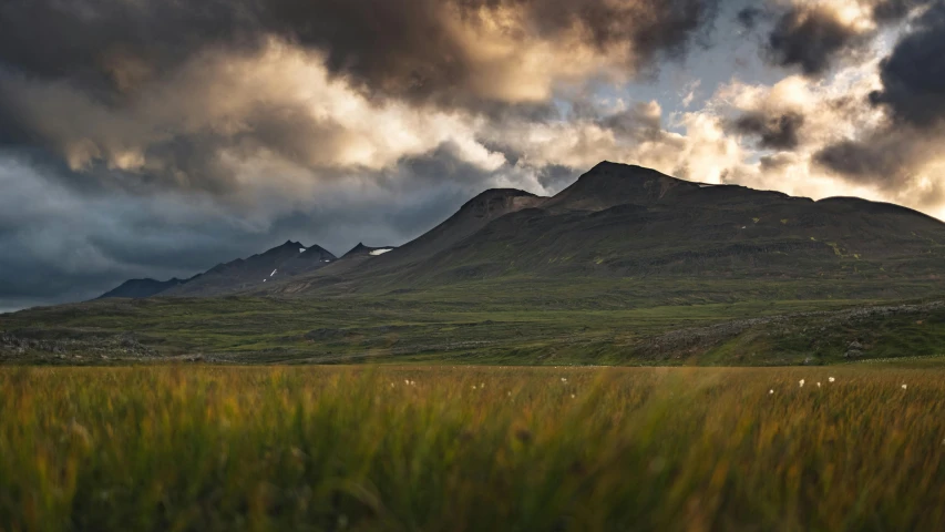 a grassy field with mountains on the other side