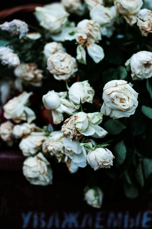 several white flowers on top of each other in a vase