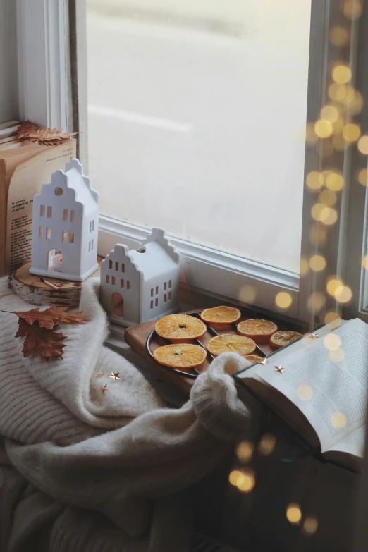 an open book sitting on top of a window sill, a picture, by Jessie Algie, pexels contest winner, folk art, soft diffuse autumn lights, sweets, holiday, 🍁 cute