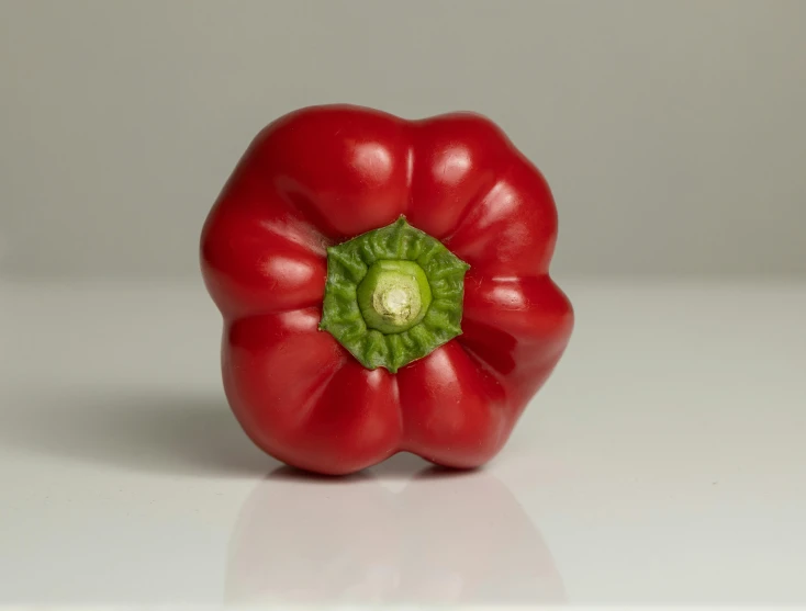 a red pepper sitting on top of a white table, product photograph, rosette, medium angle, organic shape