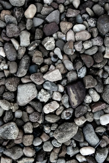 a close up of a pile of rocks and gravel, an album cover, inspired by Thomas Struth, unsplash, in gunmetal grey, petite, various sizes, 4k
