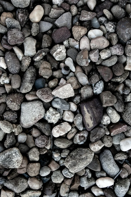 a close up of a pile of rocks and gravel, an album cover, inspired by Thomas Struth, unsplash, in gunmetal grey, petite, various sizes, 4k