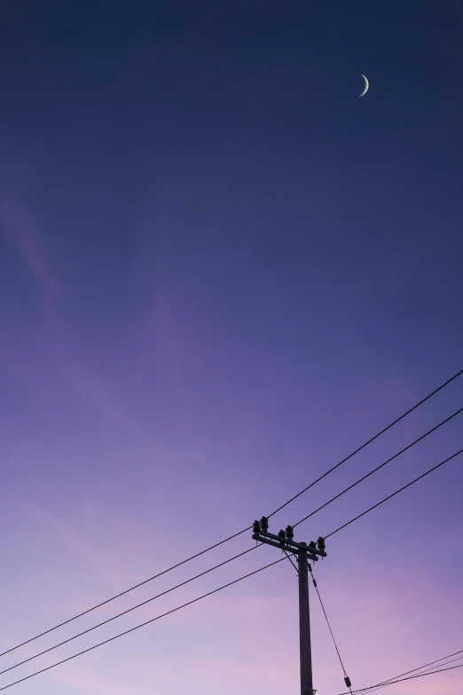 a telephone pole with a crescent in the sky, unsplash, postminimalism, ((purple)), low quality photo, thick wires, sunset photo