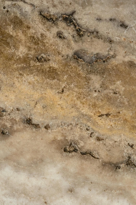 a red fire hydrant sitting on top of a cement floor, an album cover, inspired by Andreas Gursky, trending on unsplash, baroque, 4 k seamless mud texture, white travertine terraces, gradient brown to silver, high angle close up shot