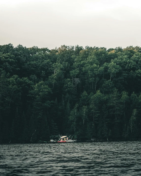 a boat floating on top of a lake next to a forest