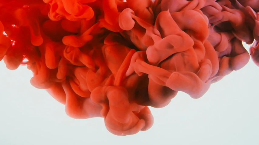 a close up of a red substance in water, a digital rendering, inspired by Alberto Seveso, pexels, generative art, two tone dye, brains, soft shade, coral