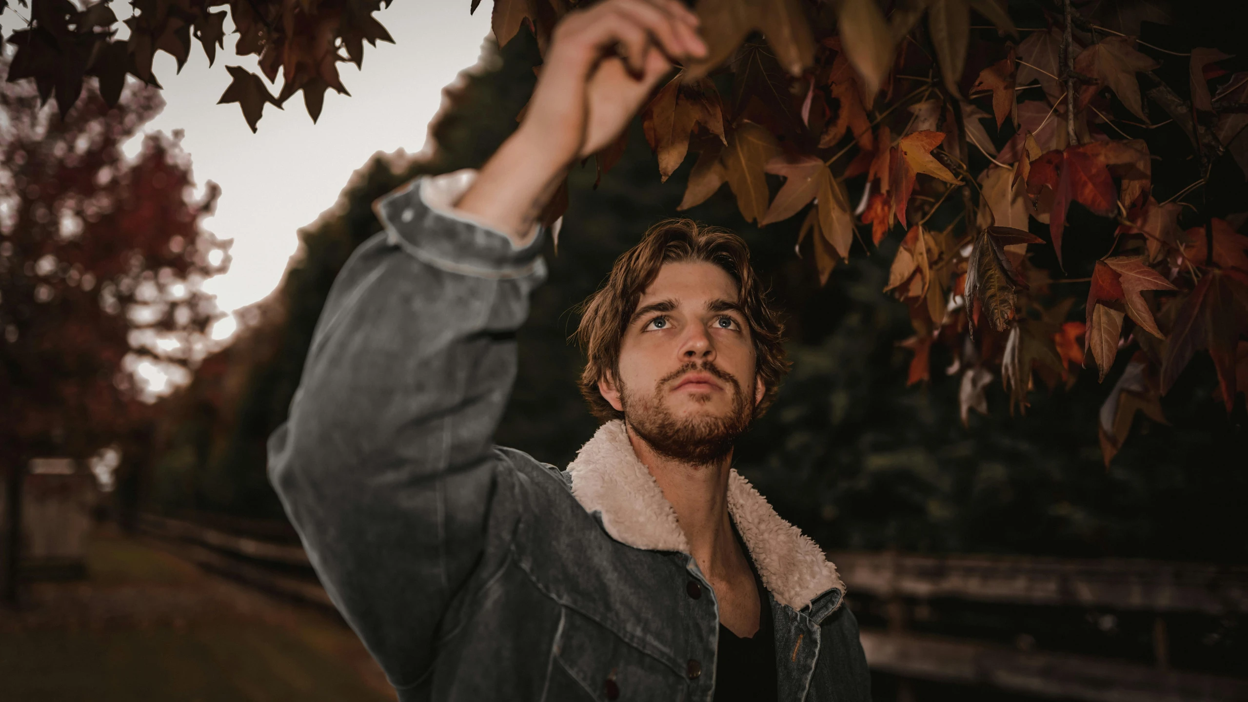 a man standing in front of leaves on a tree