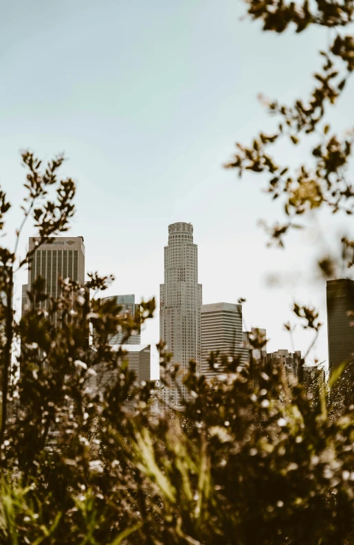 a view of a city from the top of a hill, a picture, inspired by L. A. Ring, unsplash contest winner, bushes in the foreground, tall towers, frank gehry, low angle photo