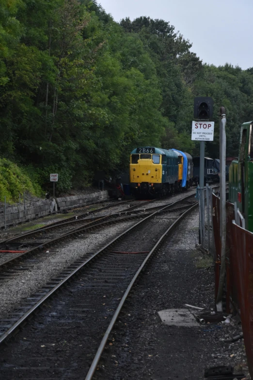 a train traveling down train tracks next to a forest, a picture, happening, opposite the lift-shaft, half blue, docks, slate