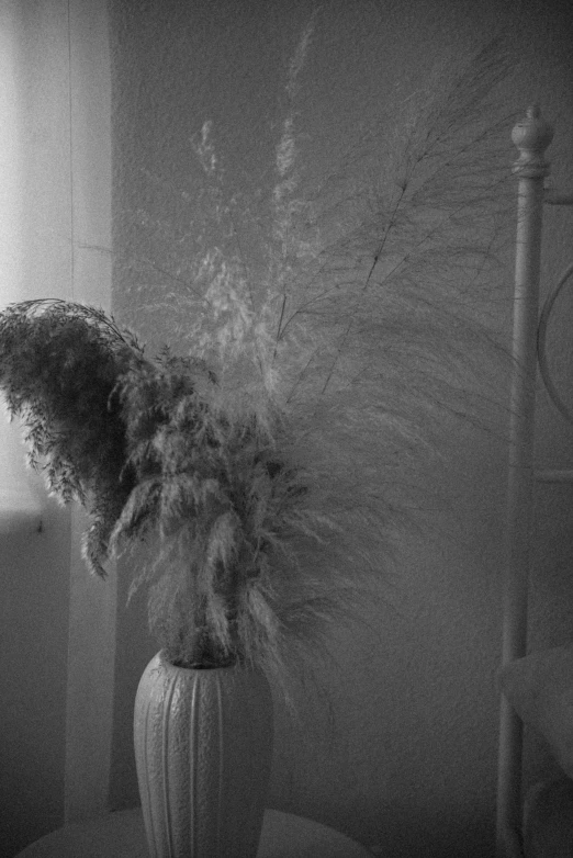 a black and white photo of a vase with flowers in it, a black and white photo, by Nathalie Rattner, conceptual art, huge feathery wings, fuzzy ghost, leica 8k still from an a24 film, lo-fi