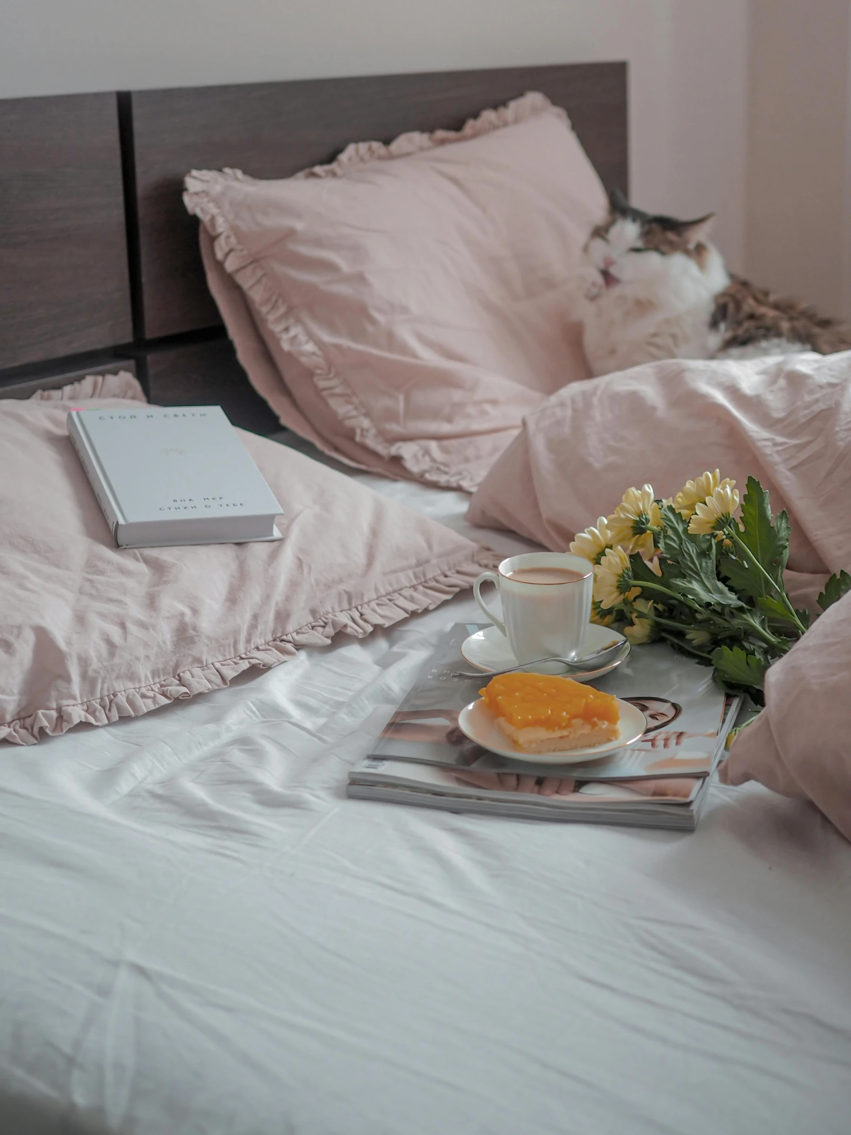 a cat laying on top of a bed next to pillows, by Lucia Peka, pexels contest winner, romanticism, breakfast, books and flowers, background image, brown and pink color scheme