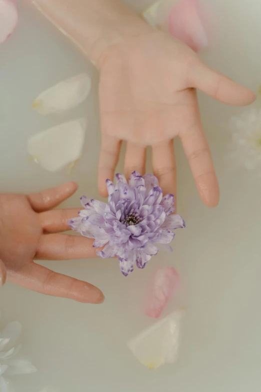 a person holding a flower in a tub of water, holding each other hands, purple aethetic, soft skin, small in size