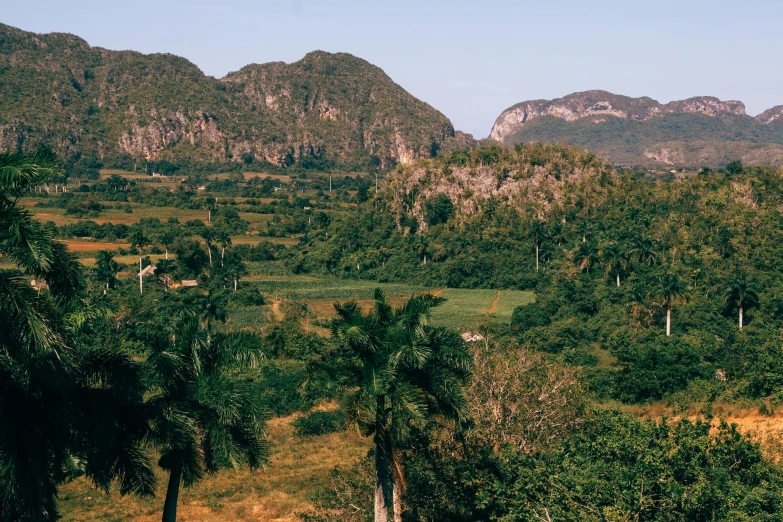 a grassy area with some trees and mountains in the background