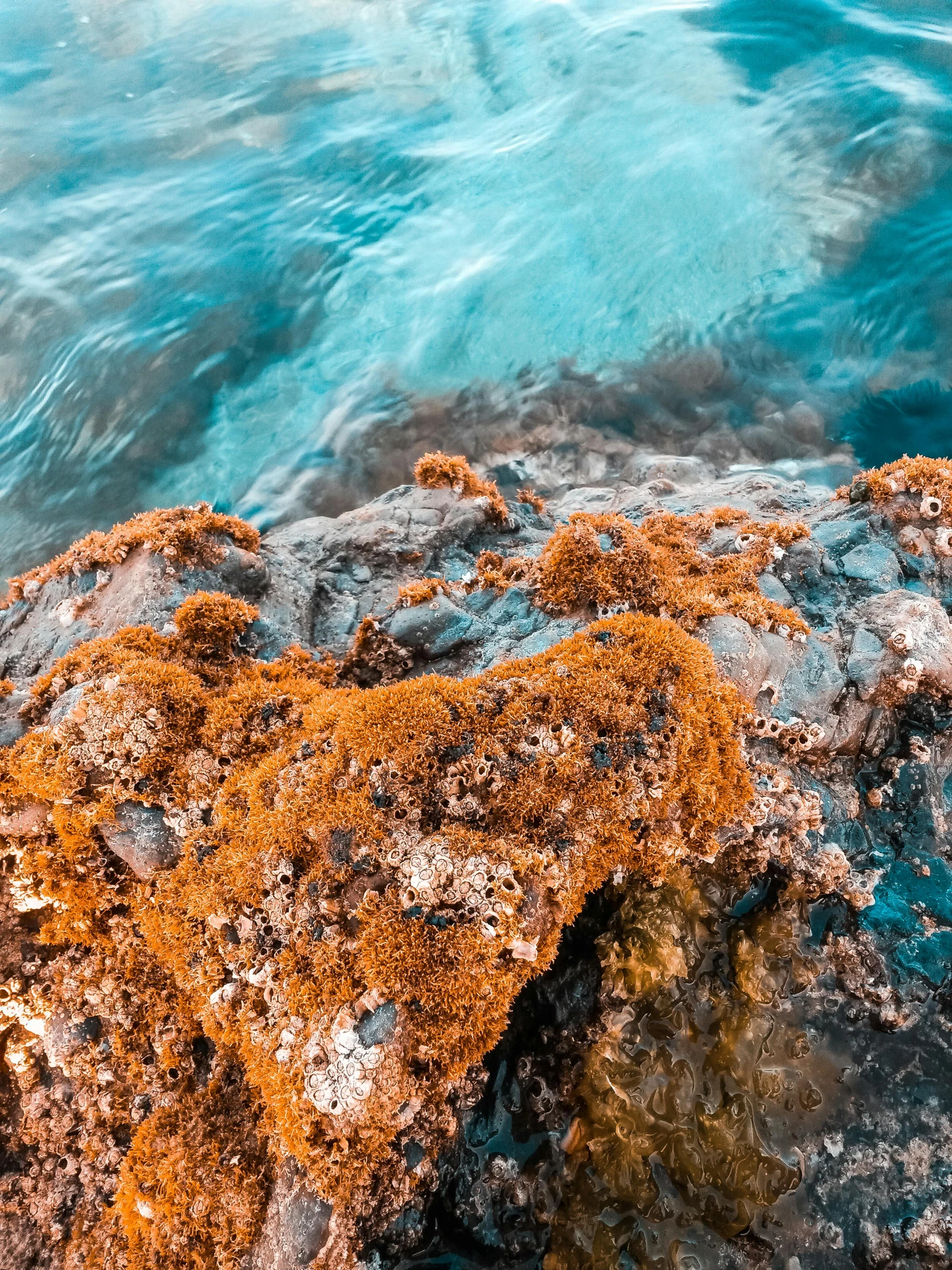 an abstract view of rocks covered in algae and water