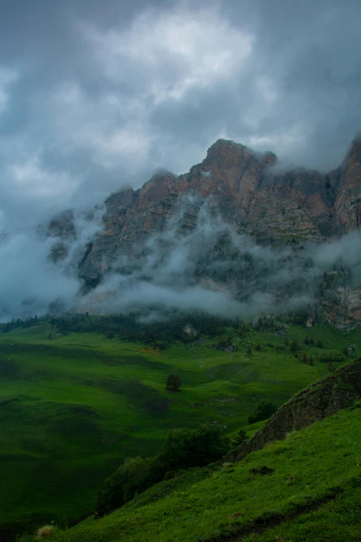 a lush green field covered in clouds and mist