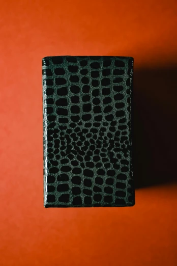 a black wallet sitting on top of a red wall, by Carey Morris, private press, reptile skin, back, large tall, dwell