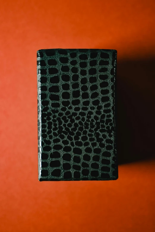 a black wallet sitting on top of a red wall, by Carey Morris, private press, reptile skin, back, large tall, dwell