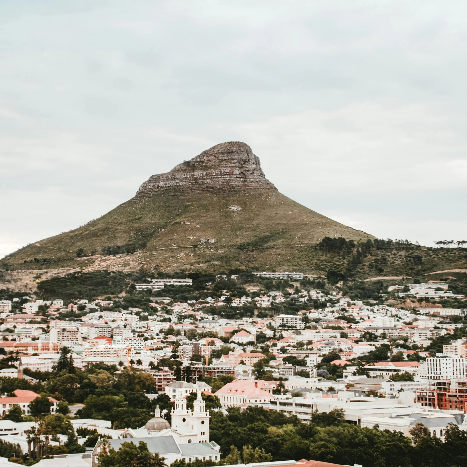 a mountain rises in the background above a city