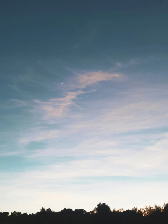 an airplane flying over a field near a wooded area