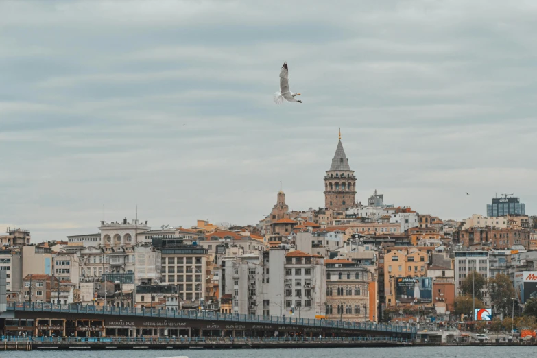 a large body of water with a bird flying over it, a colorized photo, pexels contest winner, hyperrealism, istanbul, buildings in the distance, 🚿🗝📝