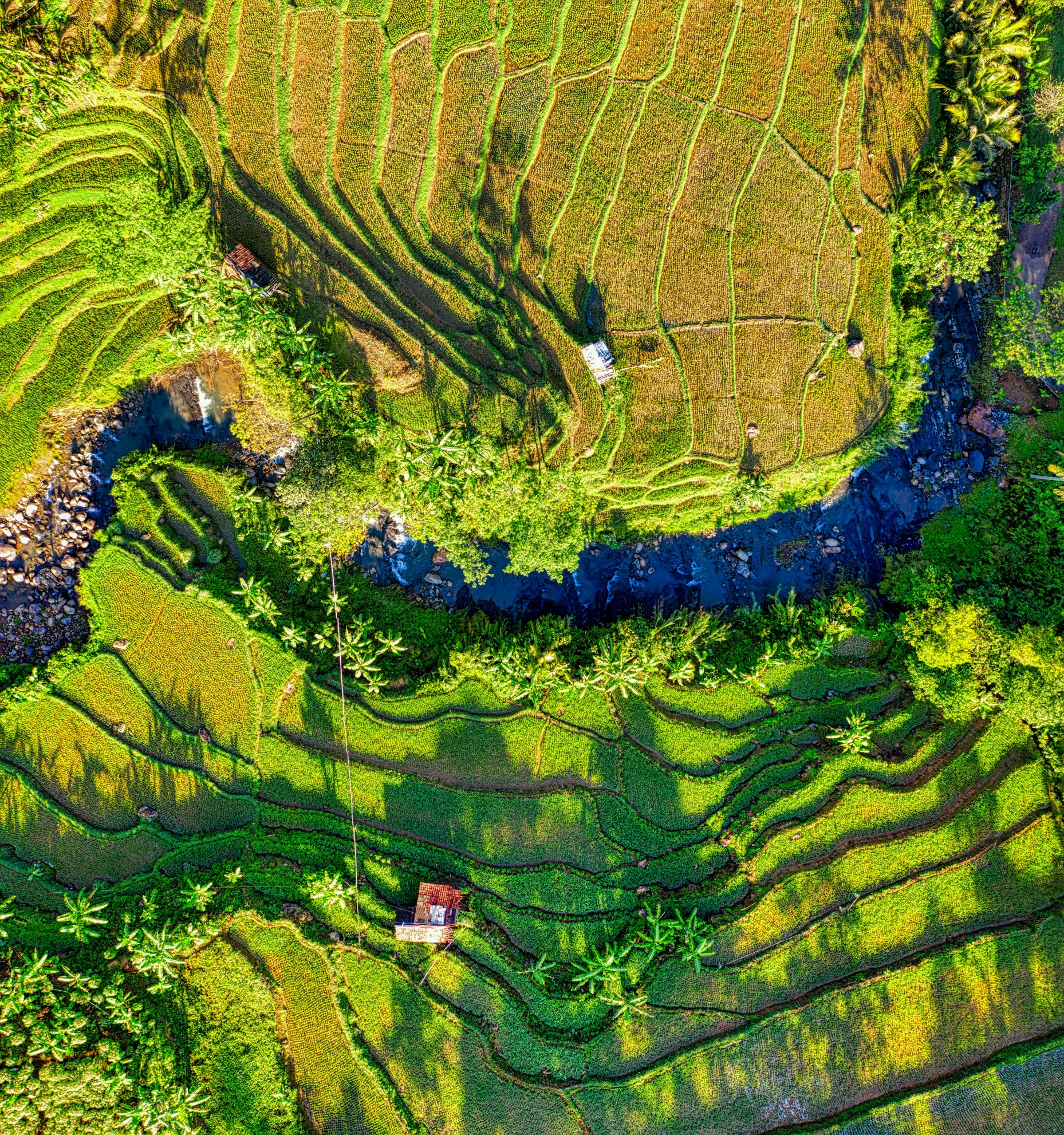 a river running through a lush green field, by Dan Content, pexels contest winner, sumatraism, staggered terraces, overhead sun, panels, ilustration