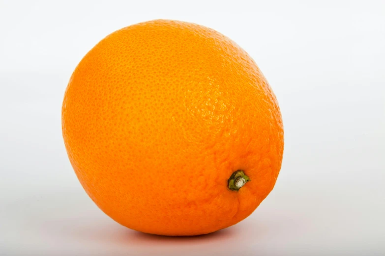 a close up of an orange on a white surface, pexels, photorealism, standing, extremely plump, portrait of tall, various posed