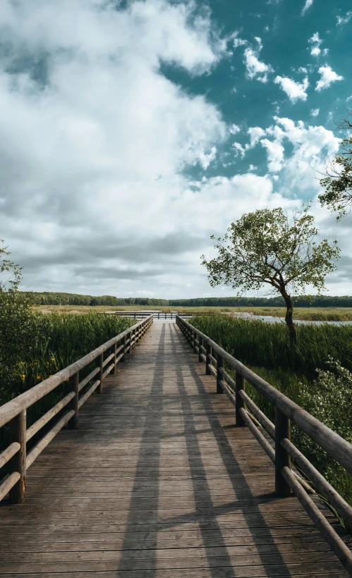 a very long wooden bridge over a small river