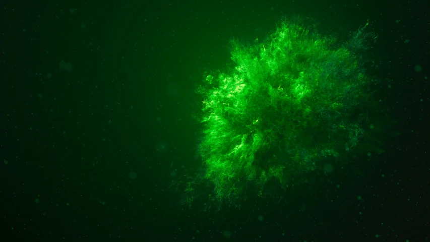 a tree that is glowing green in the dark, a microscopic photo, by Thomas Häfner, pexels, underwater explosion, made of glowing oil, fluffy green belly, deep sea cyberpunk