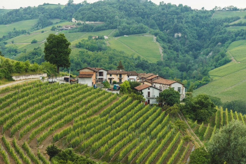 a house sitting on top of a lush green hillside, inspired by Raffeaello Ossola, pexels contest winner, renaissance, wine, view, dezeen, villages